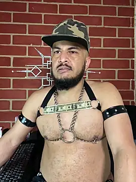 Snapshot of the_master_foal_ chatting on 4, 2, 2026 the master foal online show from 4, 2, 2026