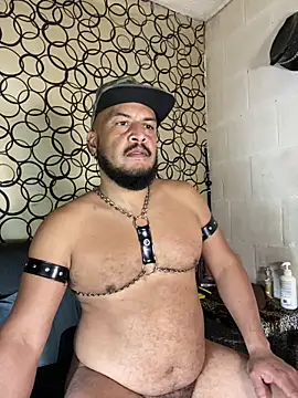 the master foal  online show from 19, 4, 2026