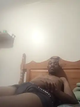 Dibobo4 online show from 12, 2, 2026