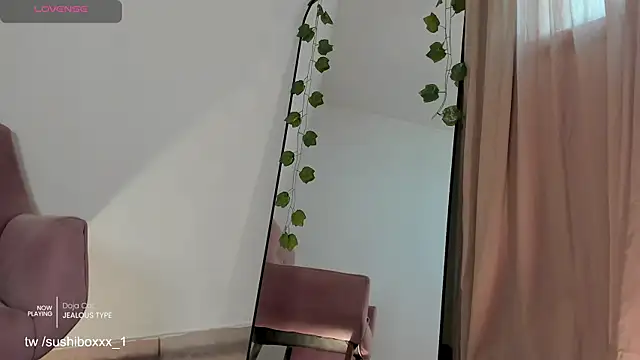 sushiboxxx online show from 11, 11, 2025