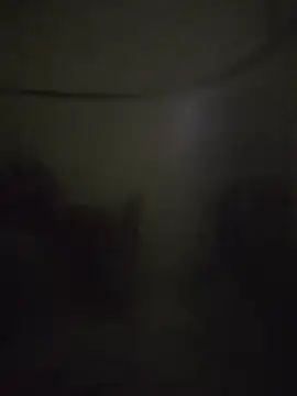 landy20cm online show from 16, 10, 2025