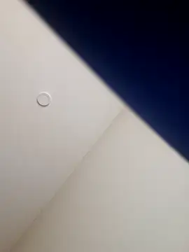 Ryeguy6969 online show from 8, 2, 2025