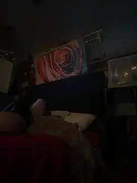 Snapshot of AshtonChicken chatting on 20, 2, 2026 AshtonChicken online show from 20, 2, 2026