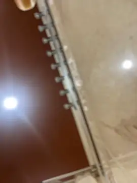 Snapshot of dingoding chatting on 21, 3, 2025 dingoding online show from 21, 3, 2025