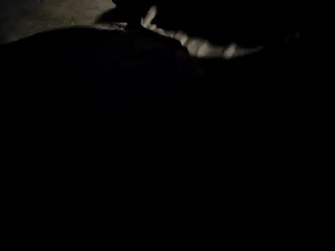 Snapshot of Midwest-exhibistionist chatting on 22, 2, 2026 Midwest-exhibistionist online show from 22, 2, 2026