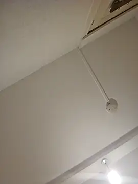 mario890605 online show from 21, 12, 2024