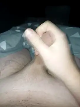 Snapshot of bertvanboere chatting on 5, 1, 2025 bertvanboere online show from 5, 1, 2025