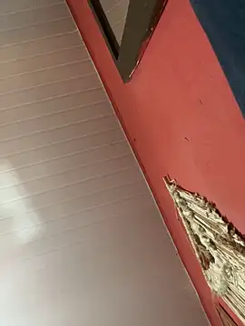 Snapshot of pimenta_gaby chatting on 18, 10, 2025 pimenta gaby online show from 18, 10, 2025