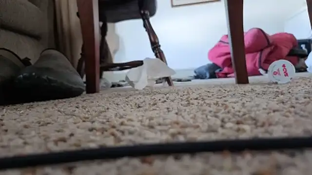 Snapshot of CDforU chatting on 5, 2, 2026 CDforU online show from 5, 2, 2026