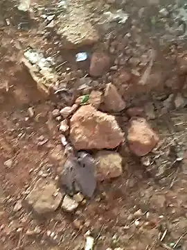 Gopal1243 online show from 15, 12, 2024