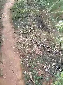 Gopal1243 online show from 15, 1, 2025