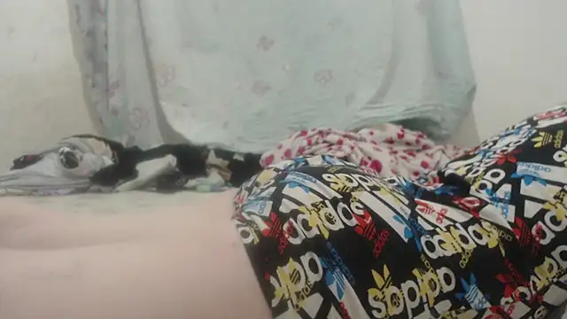 Kittywhiteass online show from 16, 3, 2025