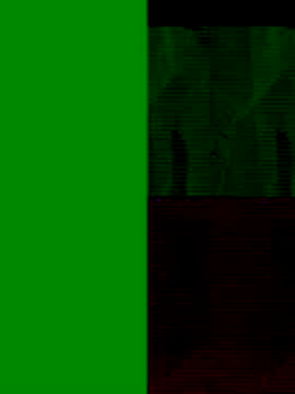 GeilerSchweizer online show from 25, 11, 2025