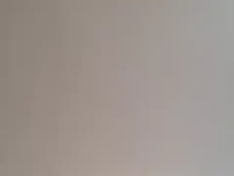 Snapshot of highstepper500 chatting on 25, 12, 2024 highstepper500 online show from 25, 12, 2024