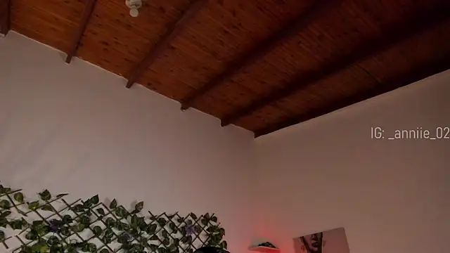 annie barozzi online show from 21, 1, 2025