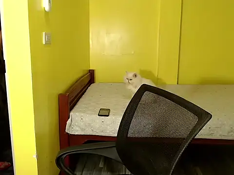 xx goddessofallgodess xx online show from 2, 10, 2025