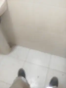 sagrado 1989 online show from 6, 3, 2026