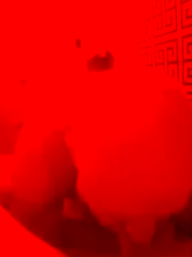 lawndad79 online show from 14, 4, 2026