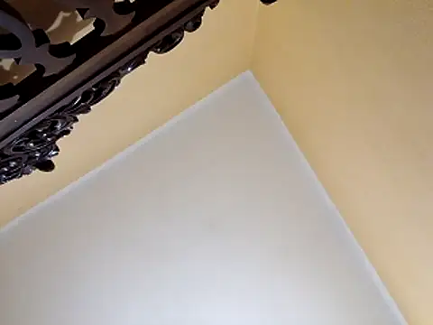 Snapshot of White_rabbit_ chatting on 29, 10, 2025 White rabbit online show from 29, 10, 2025