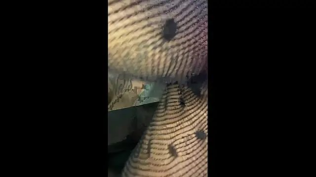 QueKitty online show from 10, 7, 2026