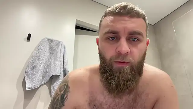 Bear bear  online show from 8, 11, 2025