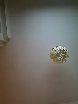 cuci45 online show from 11, 3, 2026