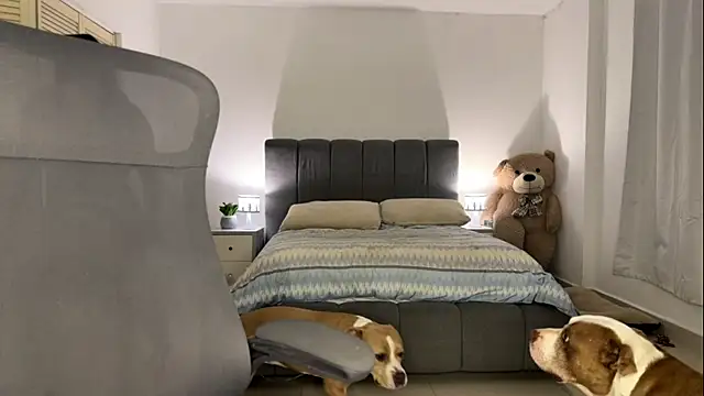 nurbanu hatem online show from 13, 2, 2026