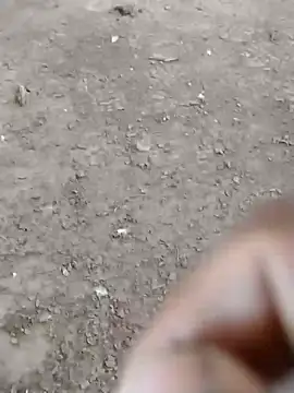 dheck2020 online show from 7, 1, 2025