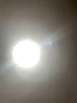 gabiTetas online show from 6, 12, 2024