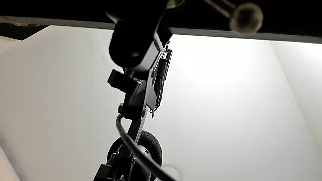 sarita loven online show from 19, 2, 2026