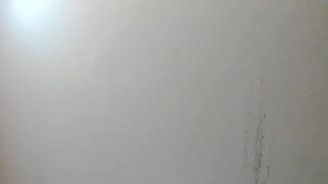 sarita loven online show from 17, 7, 2026
