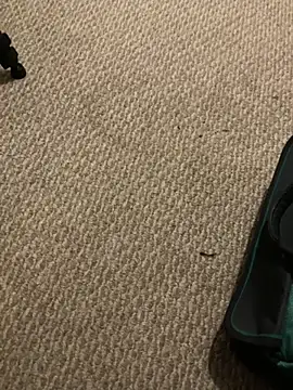 1Lustfully yours online show from 10, 11, 2025