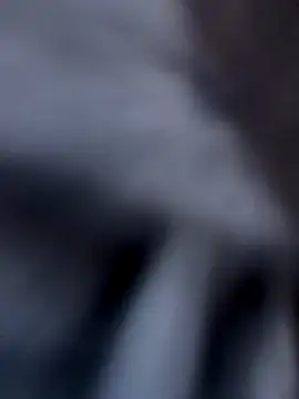 Snapshot of Fellix chatting on 3, 12, 2024 Fellix online show from 3, 12, 2024