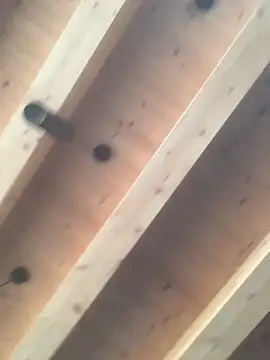 Snapshot of Fellix chatting on 11, 12, 2024 Fellix online show from 11, 12, 2024