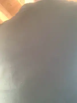 Snapshot of Fellix chatting on 17, 2, 2025 Fellix online show from 17, 2, 2025