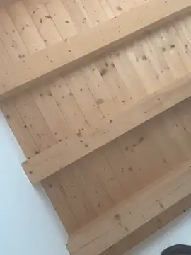 Snapshot of Fellix chatting on 24, 2, 2025 Fellix online show from 24, 2, 2025