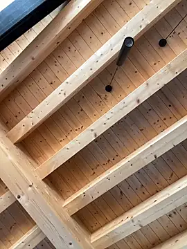 Snapshot of Fellix chatting on 17, 10, 2025 Fellix online show from 17, 10, 2025