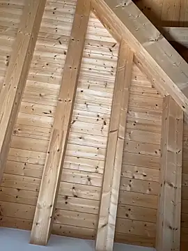 Snapshot of Fellix chatting on 27, 10, 2025 Fellix online show from 27, 10, 2025