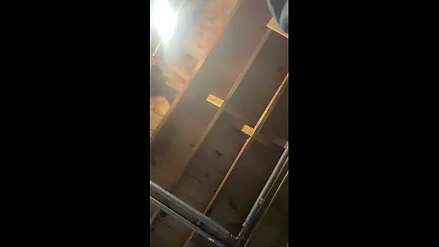 KBONE36 online show from 16, 2, 2026