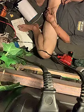 Likewise online show from 19, 2, 2026