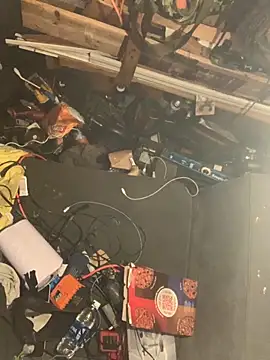 Likewise online show from 23, 3, 2026