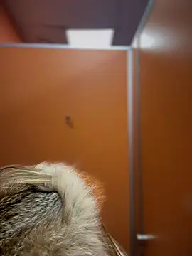 pinkstar  online show from 24, 2, 2025