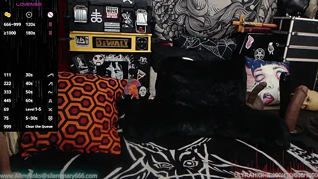 Snapshot of Silentmary chatting on 28, 12, 2024 Silentmary online show from 28, 12, 2024