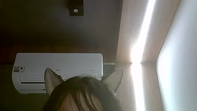 Skinny-Kitten online show from 13, 2, 2026