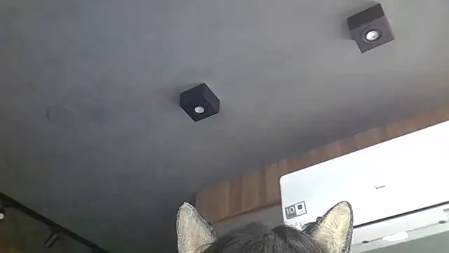 Snapshot of Skinny-Kitten chatting on 4, 3, 2026 Skinny-Kitten online show from 4, 3, 2026