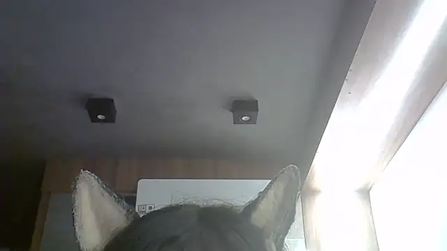 Snapshot of Skinny-Kitten chatting on 9, 3, 2026 Skinny-Kitten online show from 9, 3, 2026