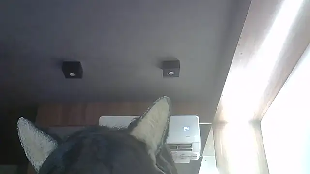 Snapshot of Skinny-Kitten chatting on 21, 3, 2026 Skinny-Kitten online show from 21, 3, 2026