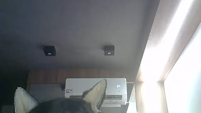 Snapshot of Skinny-Kitten chatting on 1, 4, 2026 Skinny-Kitten online show from 1, 4, 2026