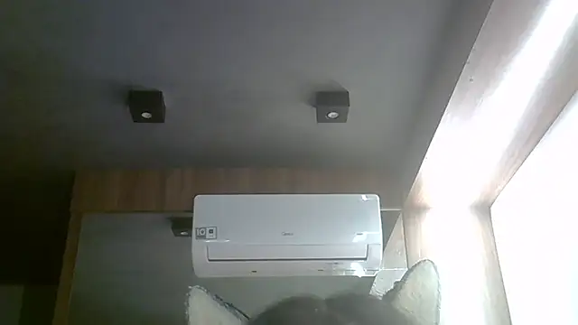 Snapshot of Skinny-Kitten chatting on 3, 4, 2026 Skinny-Kitten online show from 3, 4, 2026