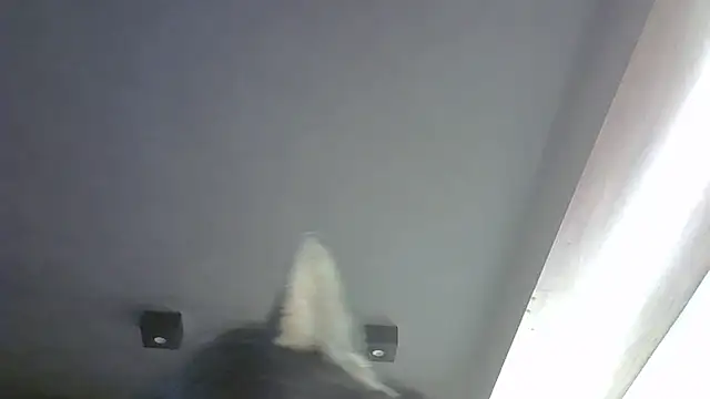 Snapshot of Skinny-Kitten chatting on 10, 4, 2026 Skinny-Kitten online show from 10, 4, 2026